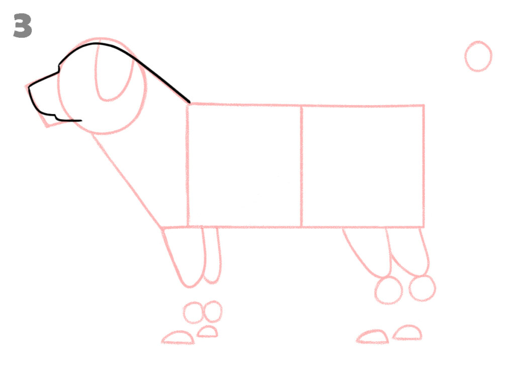how to draw a dog step by step