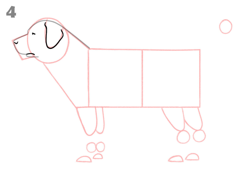 how to draw a dog step by step