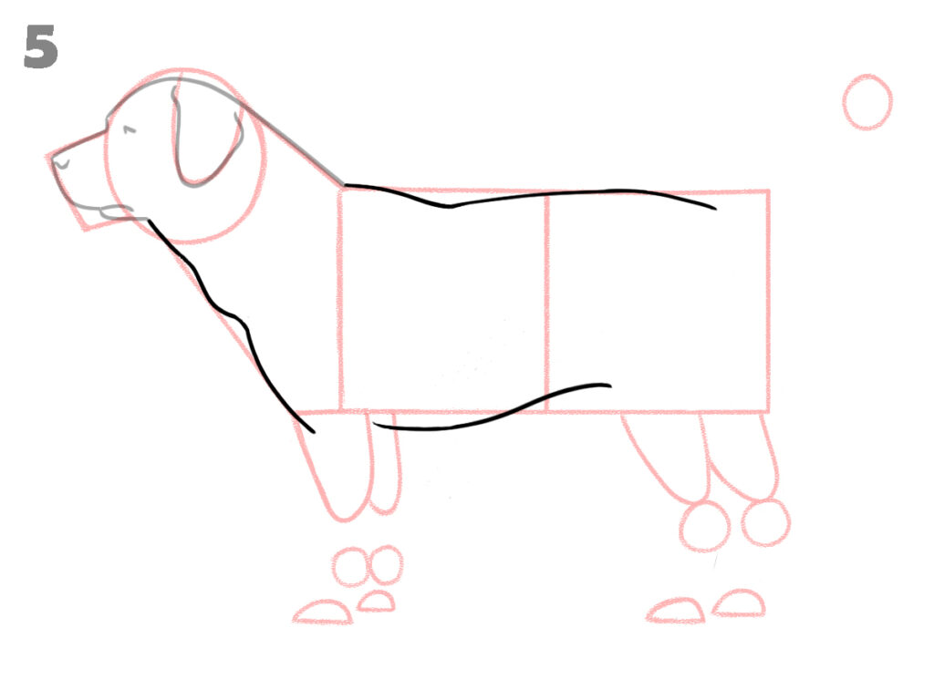 how to draw a dog step by step