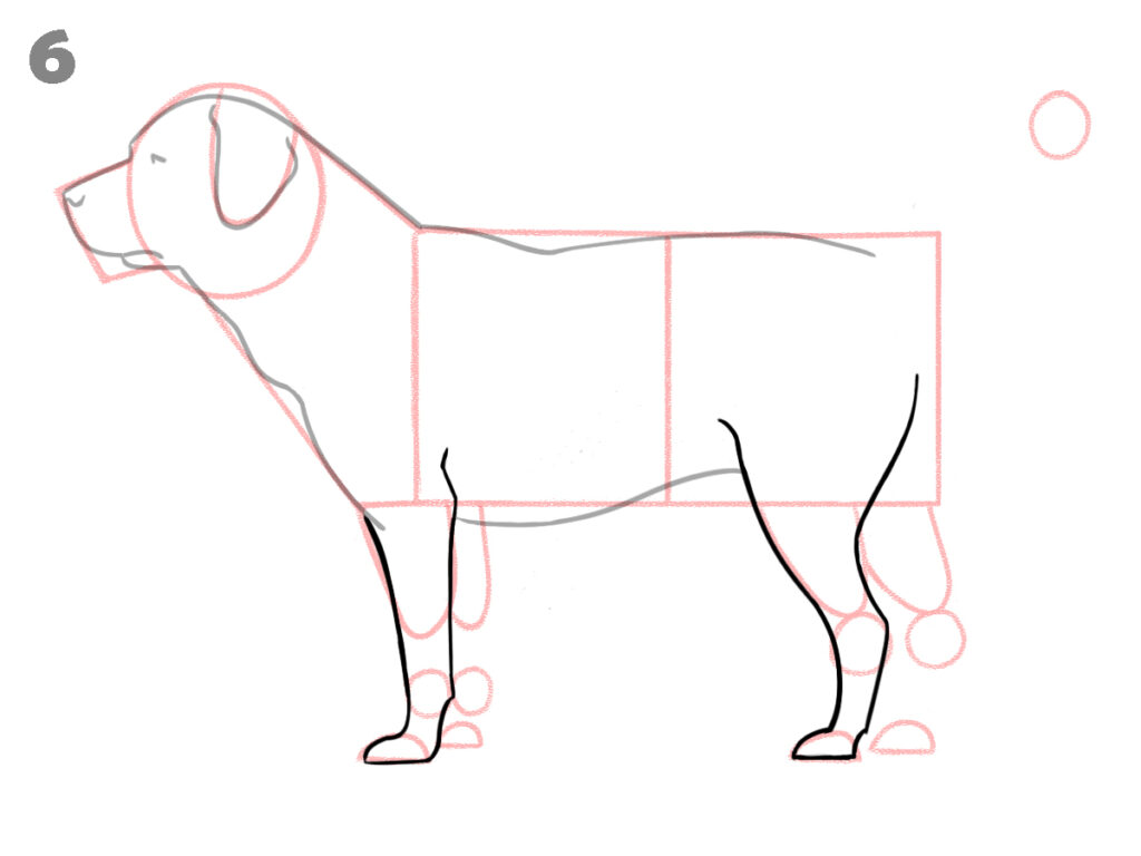 how to draw a dog step by step
