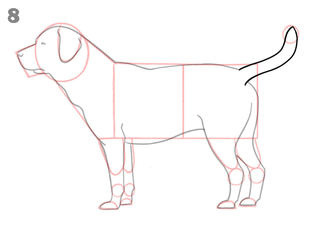 how to draw a dog step by step