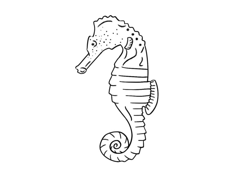 How to draw a seahorse