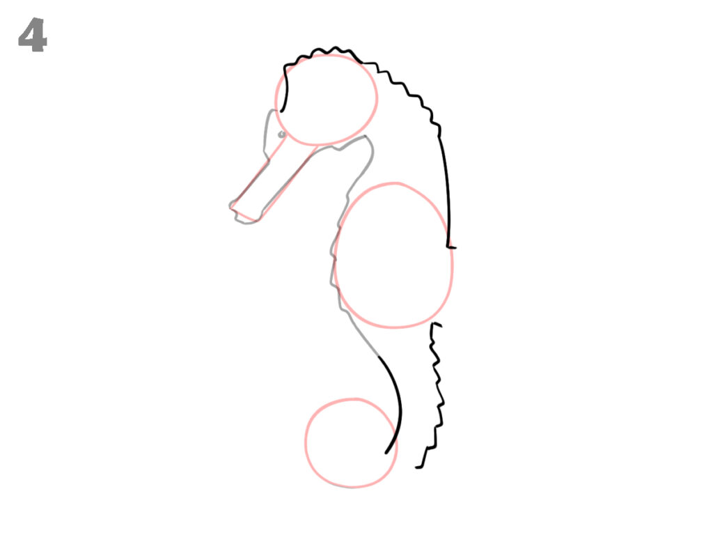 How to draw a seahorse