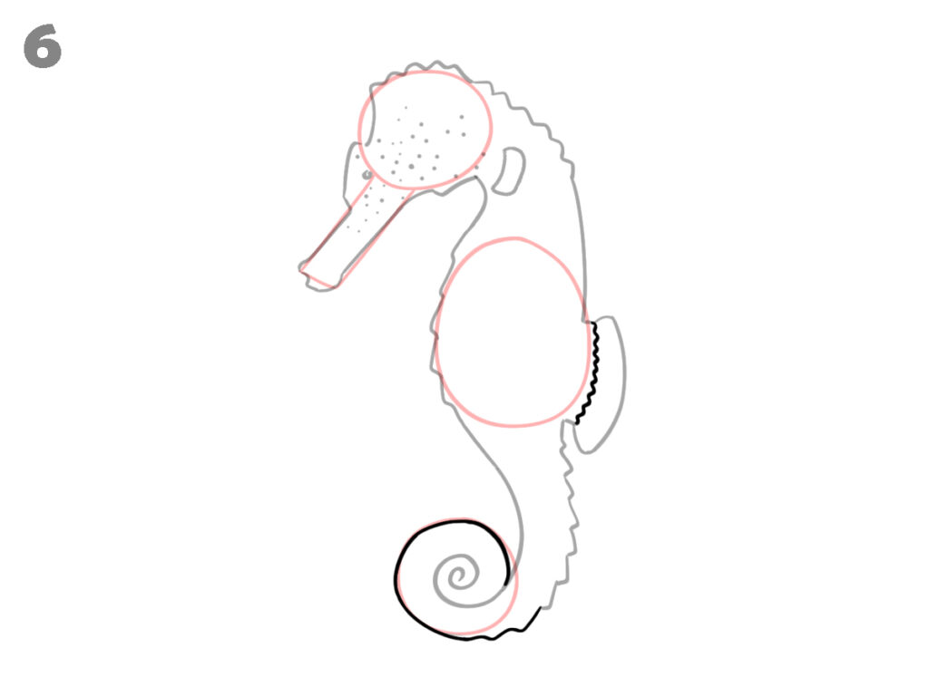 How to draw a seahorse