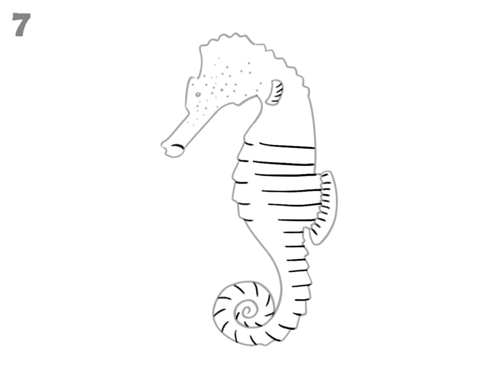 How to draw a seahorse