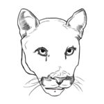 How to draw a panther face