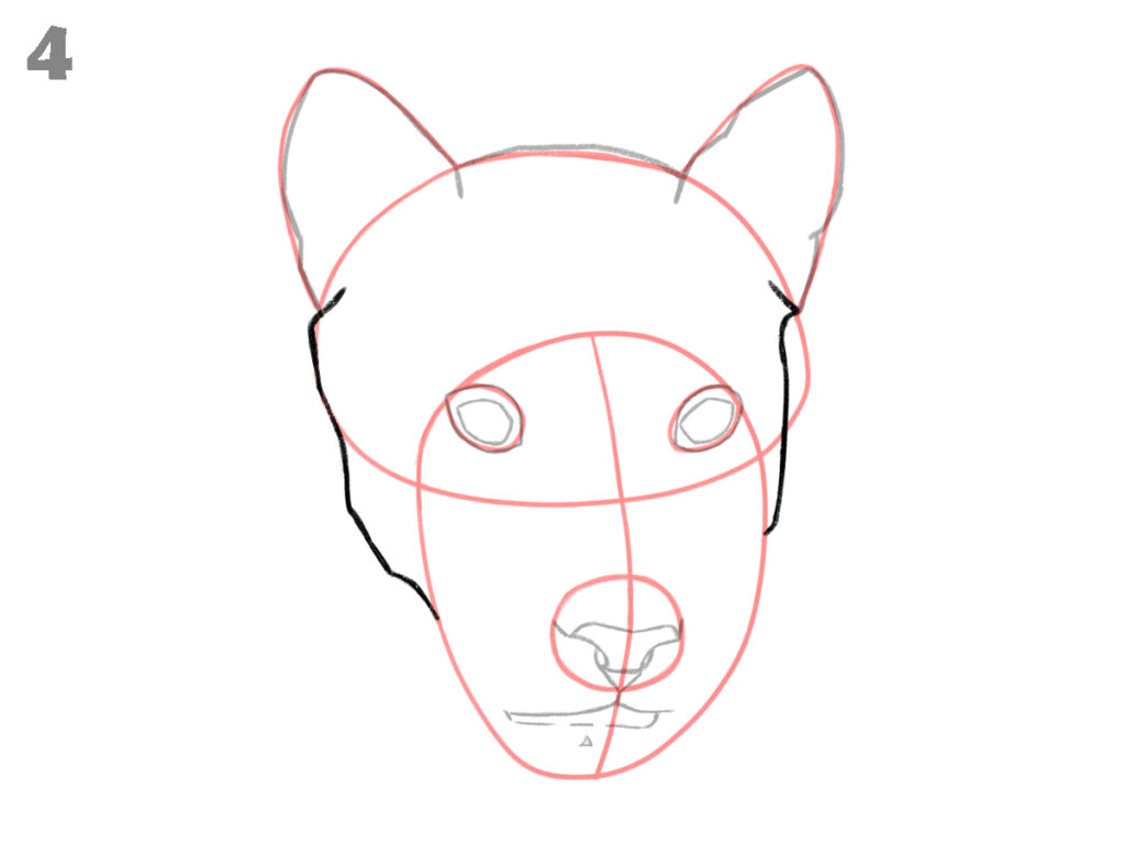 How to draw a panther face 