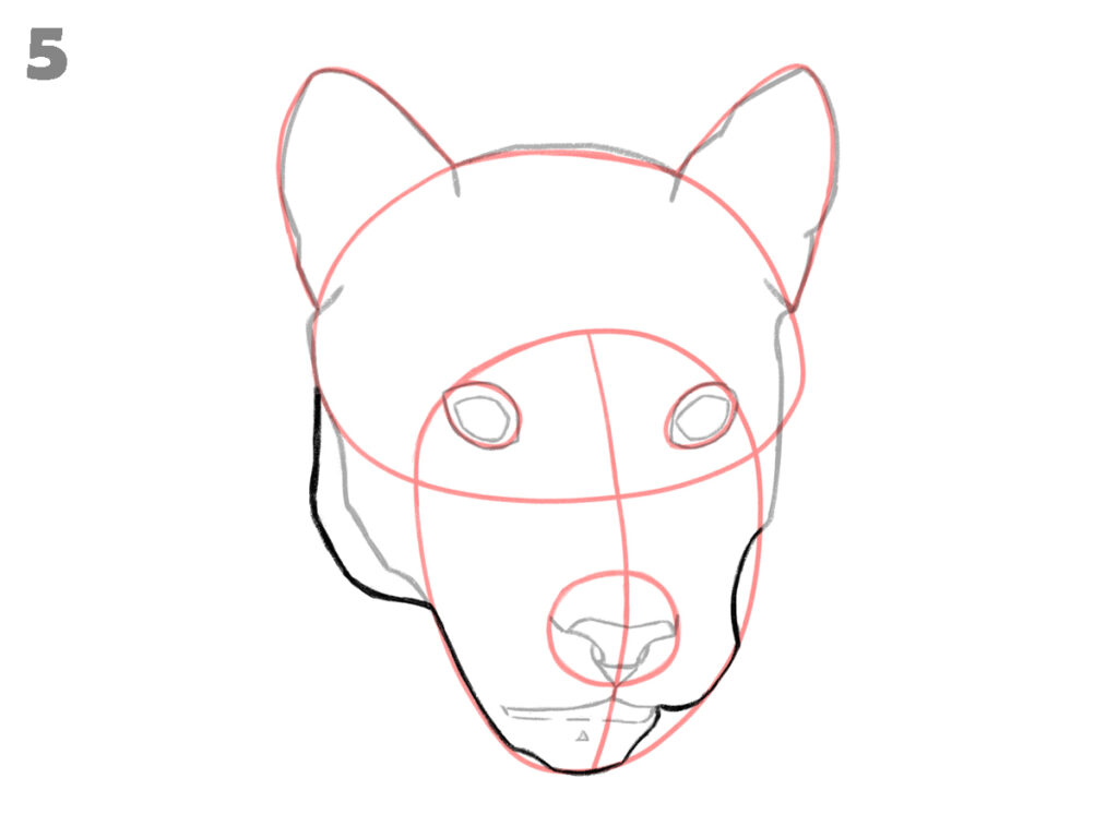 How to draw a panther face 