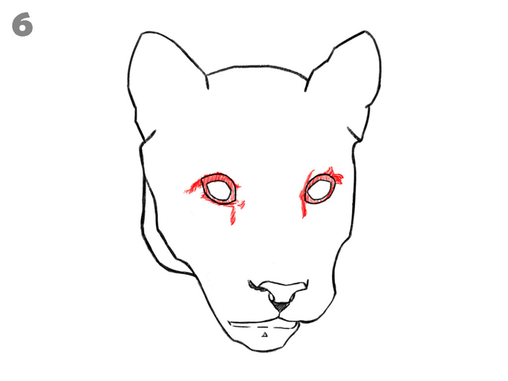 How to draw a panther face 