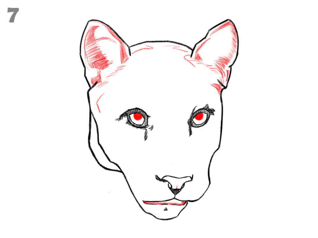 How to draw a panther face 