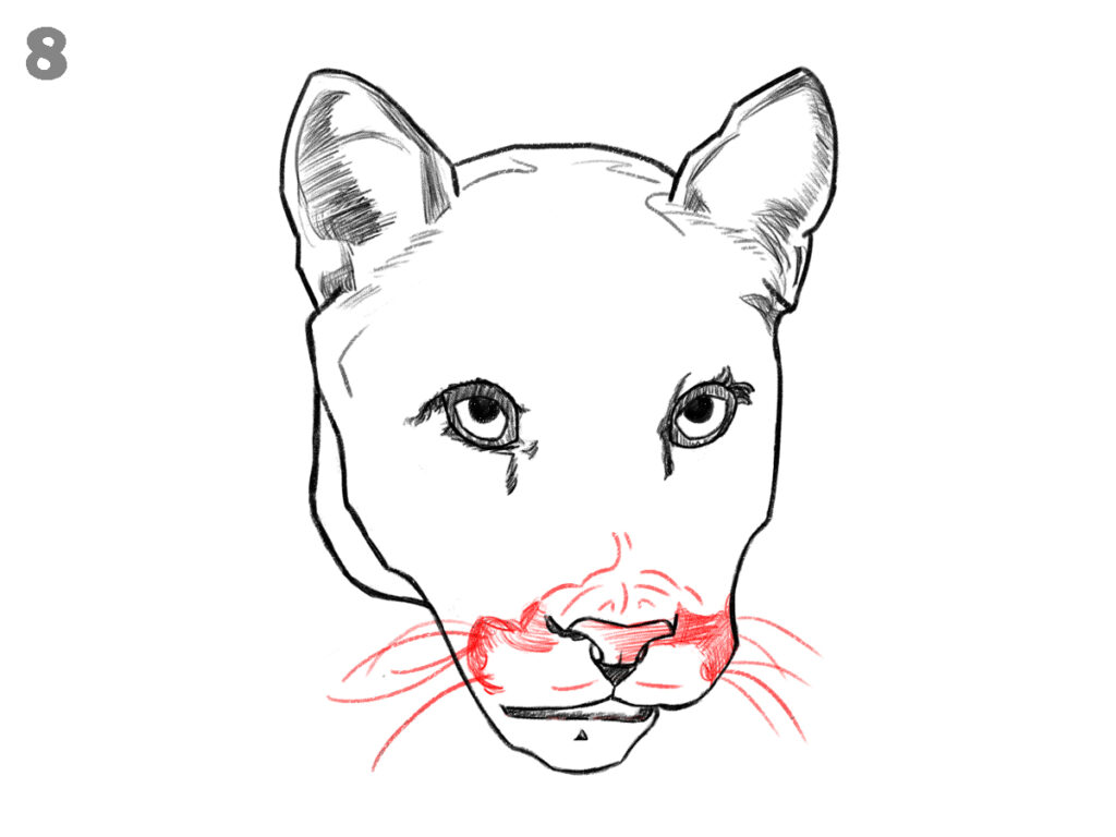 How to draw a panther face 