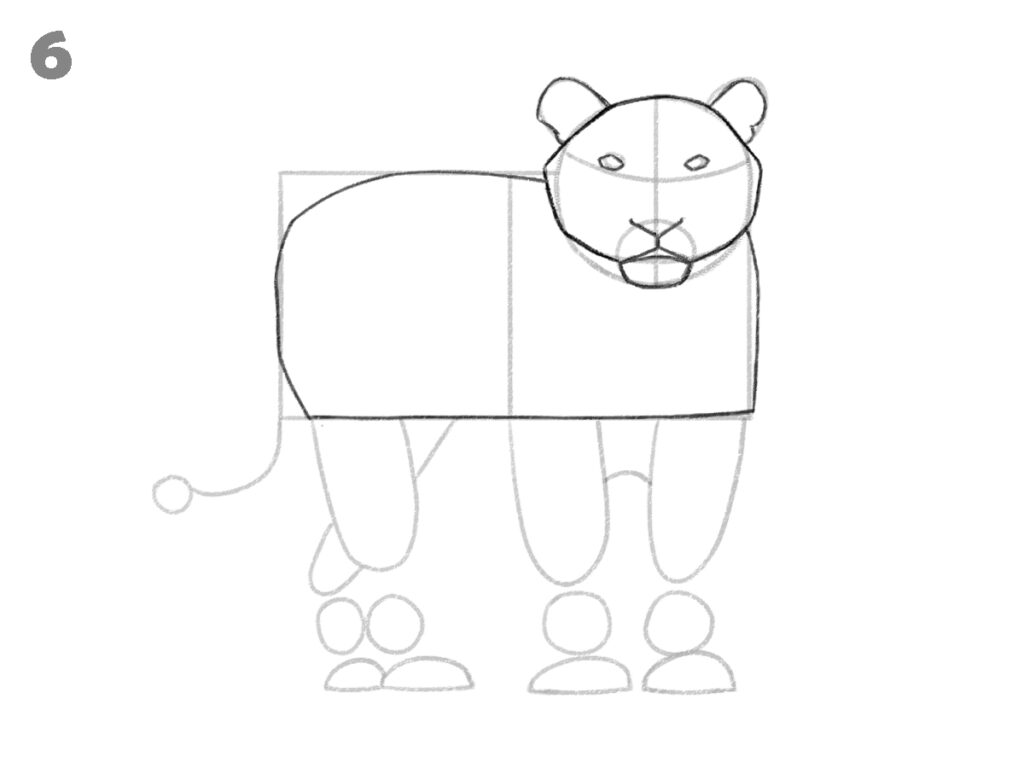 How to draw a tiger