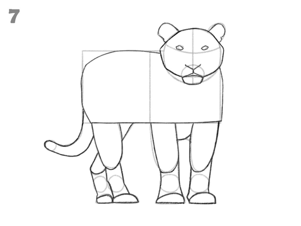 How to draw a tiger