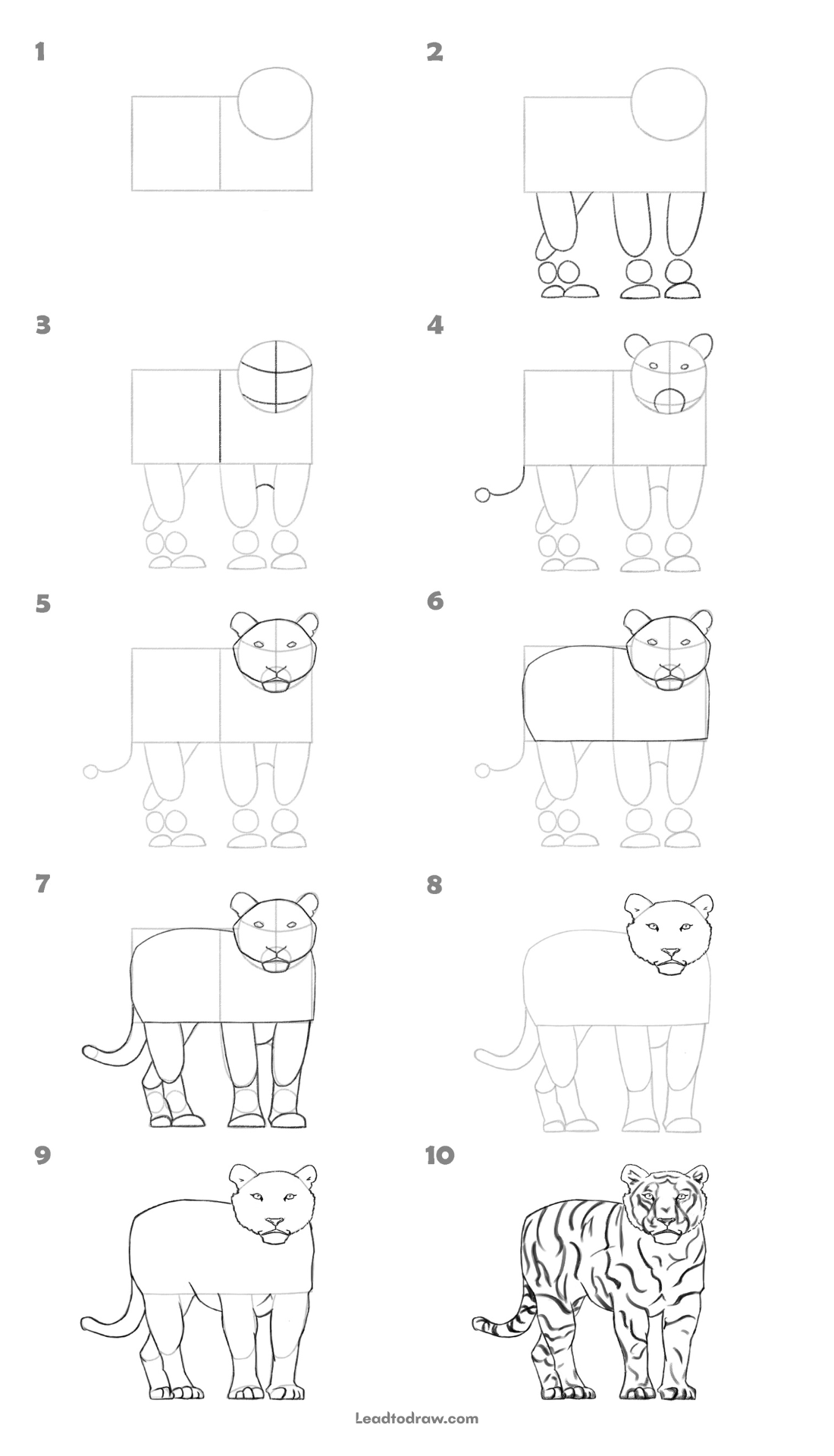 How to draw a tiger