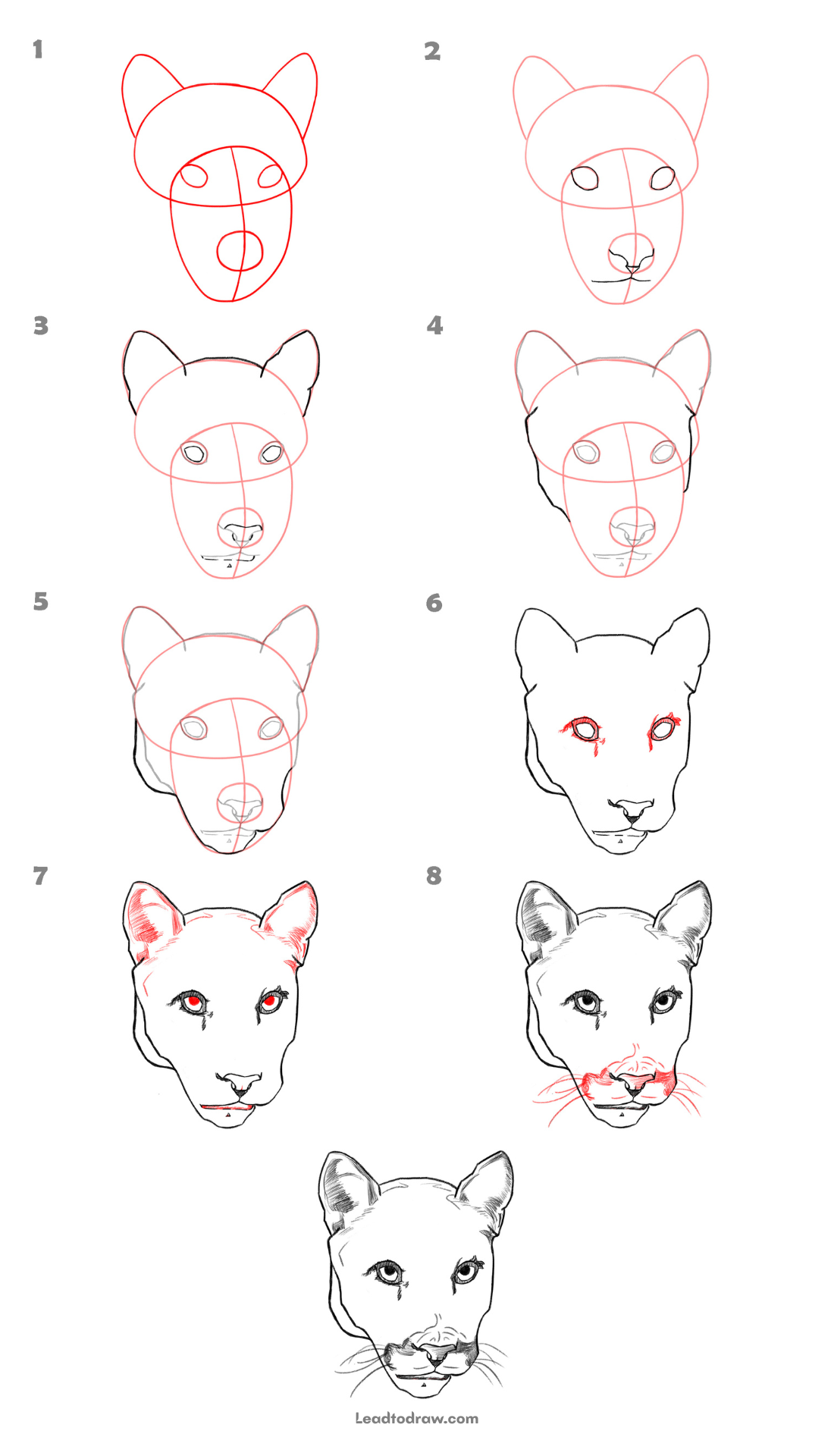 How to draw a panther face