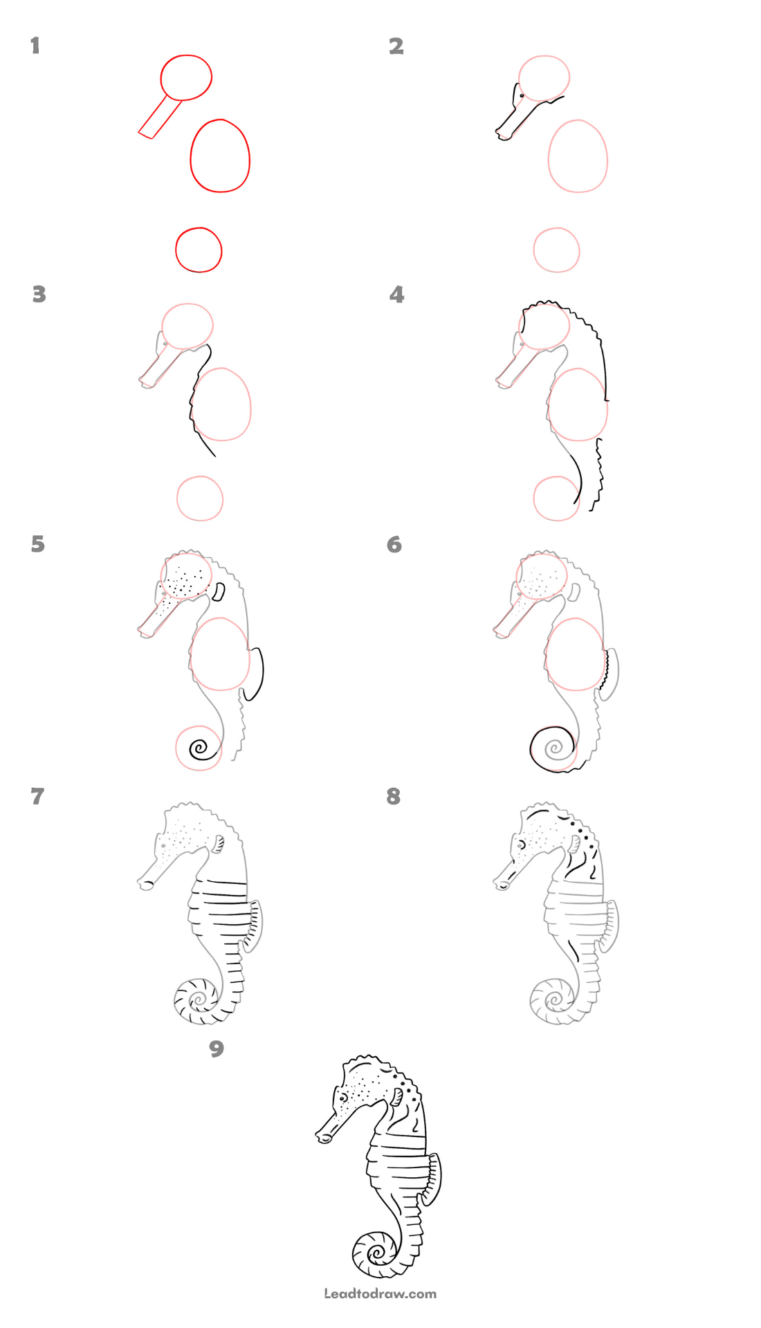 Easy Way To Draw A Seahorse