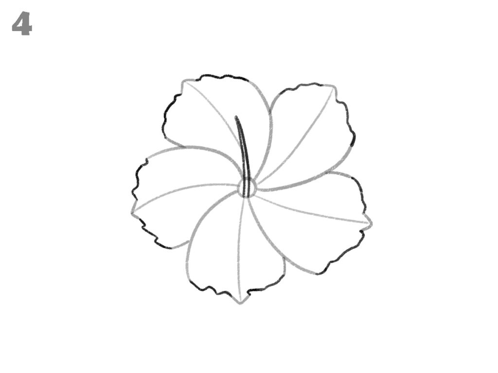 how to draw hibiscus flower