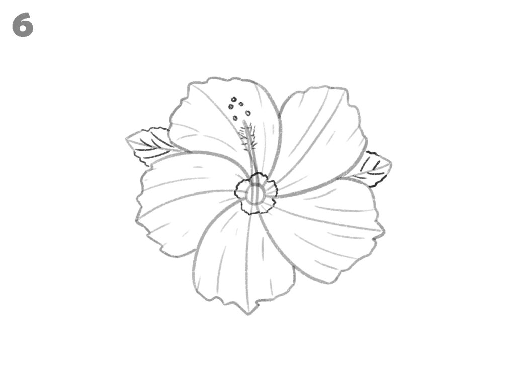 how to draw hibiscus flower