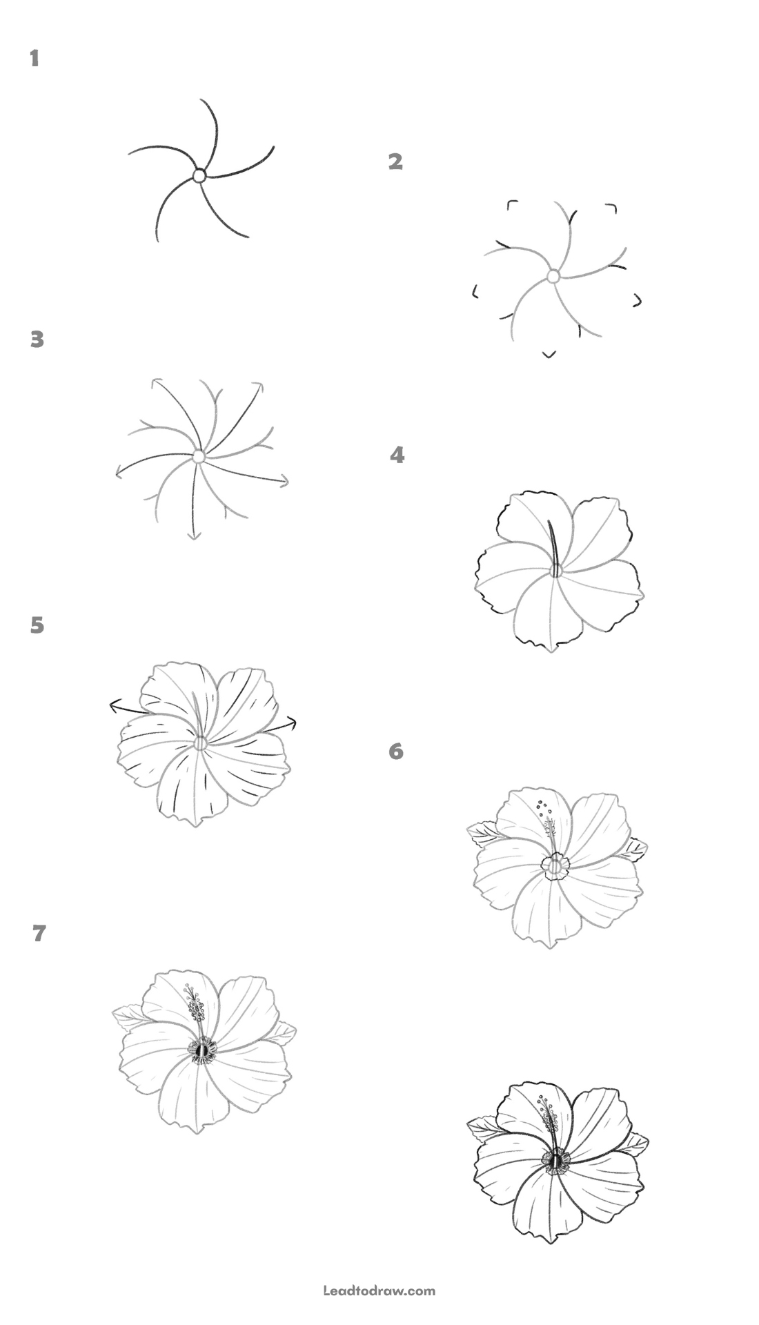 How to draw hibiscus flower
