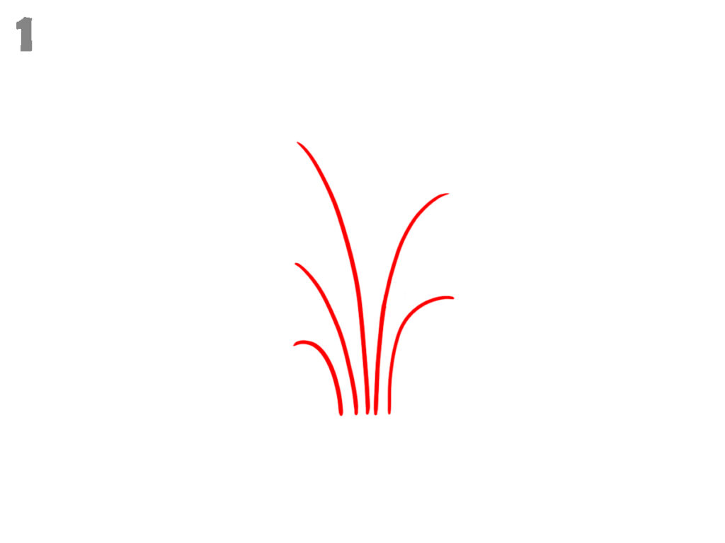 how to draw grass