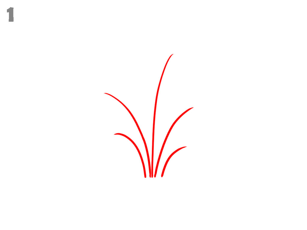 how to draw grass