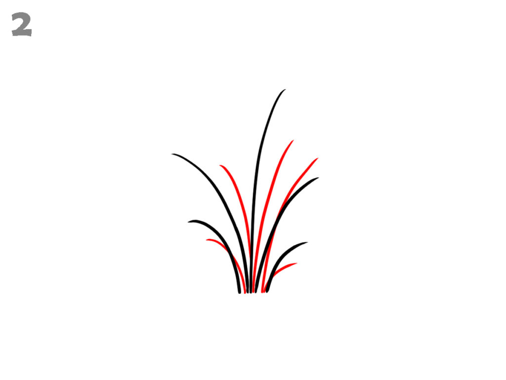 how to draw grass
