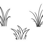 How to draw grass