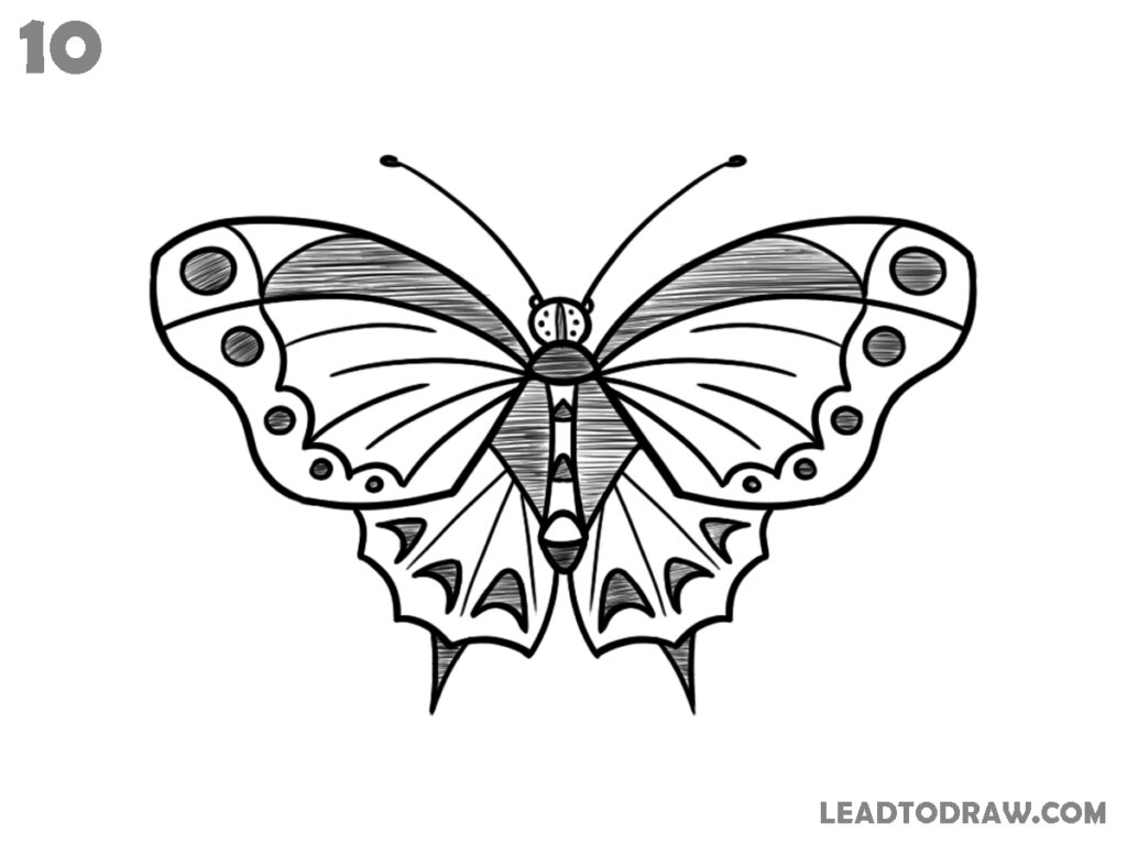 how to draw a butterfly easy