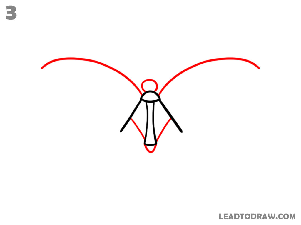 how to draw a butterfly easy