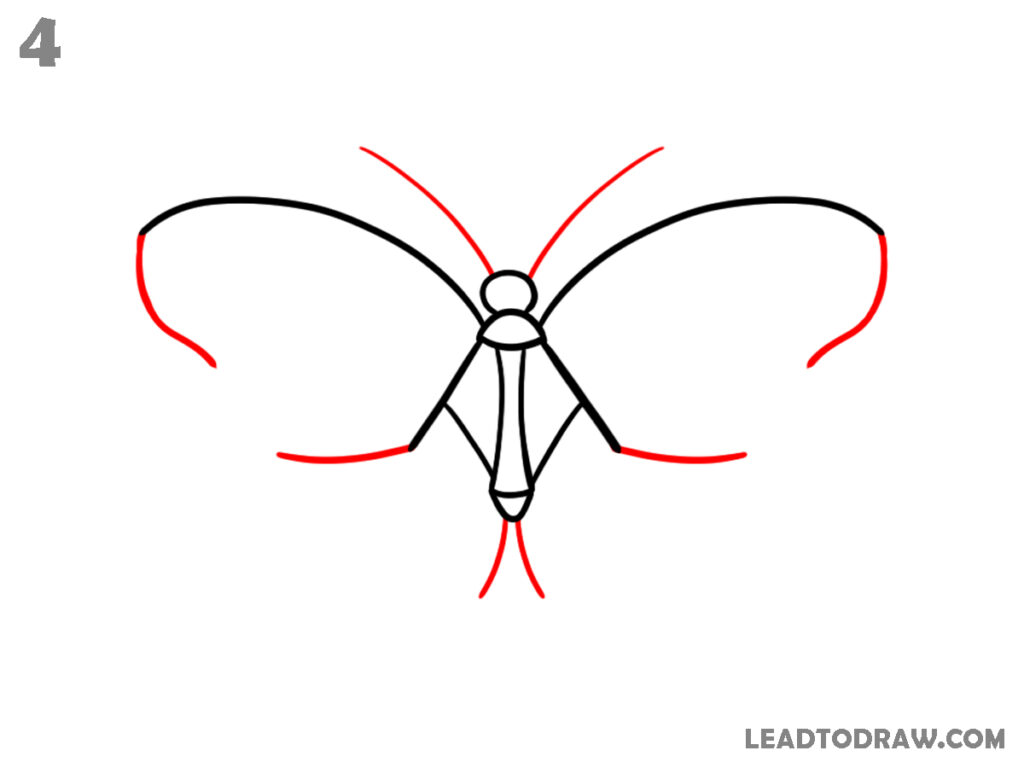 how to draw a butterfly easy
