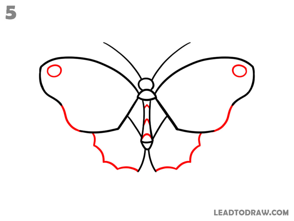 how to draw a butterfly easy