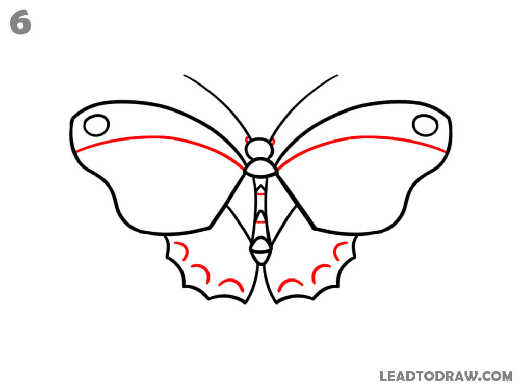 how to draw a butterfly easy