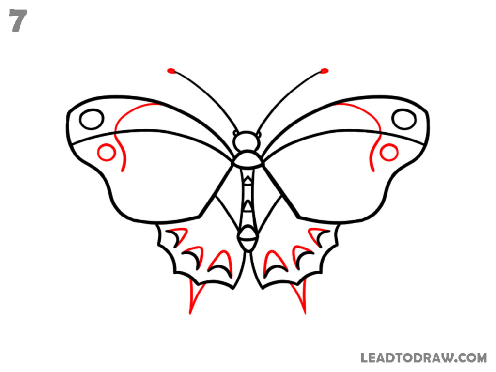 how to draw a butterfly easy
