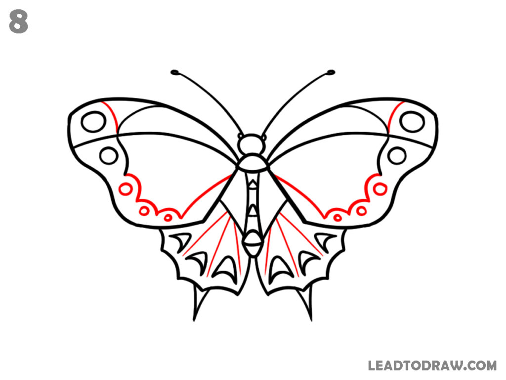 how to draw a butterfly easy