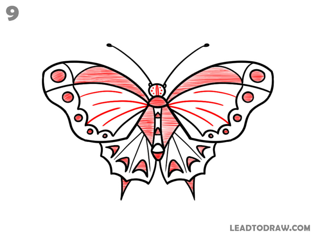 how to draw a butterfly easy