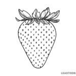 how to draw a realistic strawberry