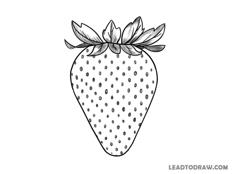 how to draw a realistic strawberry