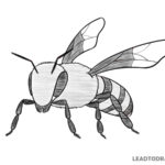 how to draw a bee