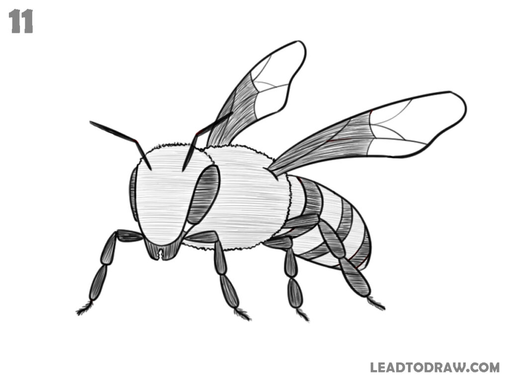 how to draw a bee
