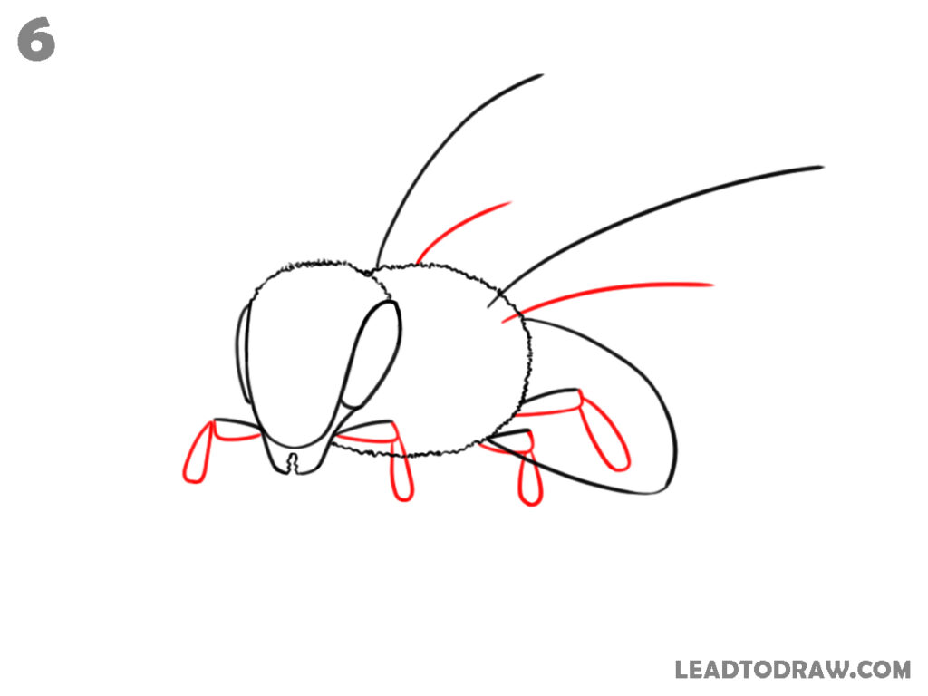 how to draw a bee easy