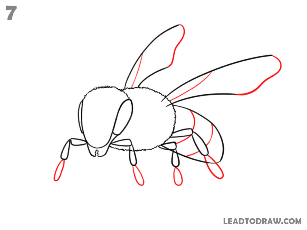 how to draw a bee easy