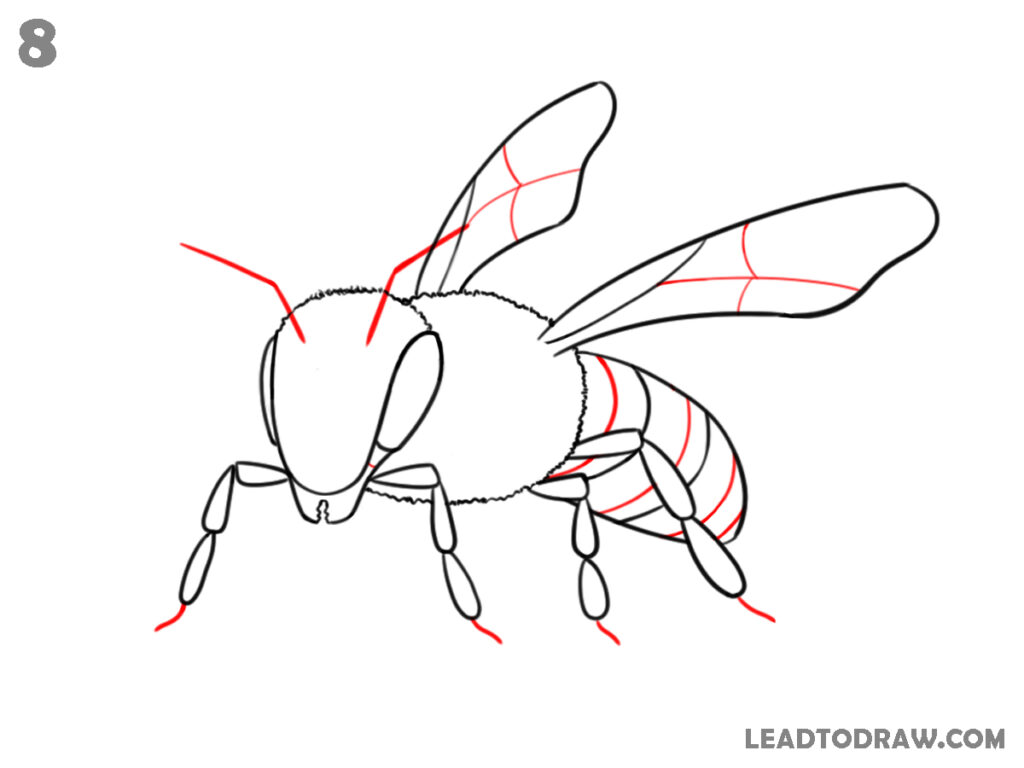 how to draw a bee easy