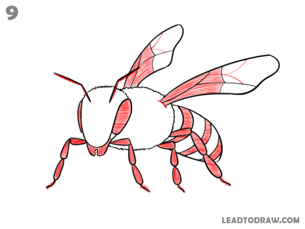 how to draw a bee