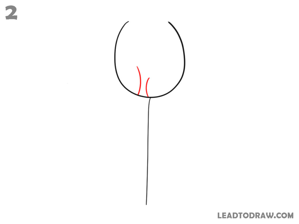 how to sketch a tulip