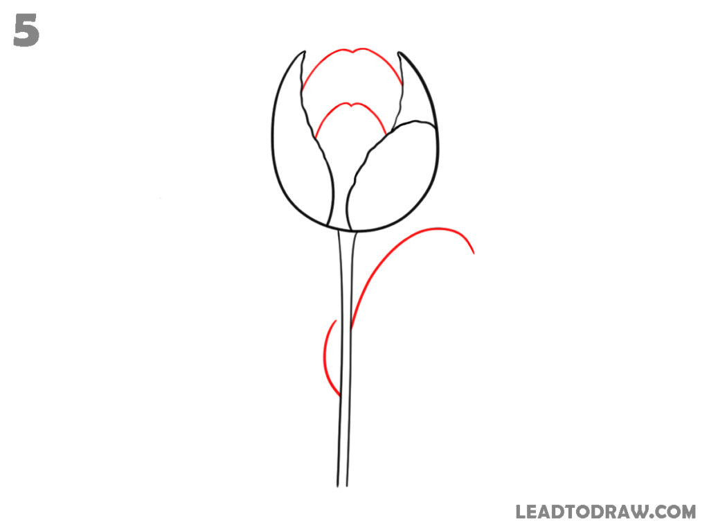how to draw a easy tulip