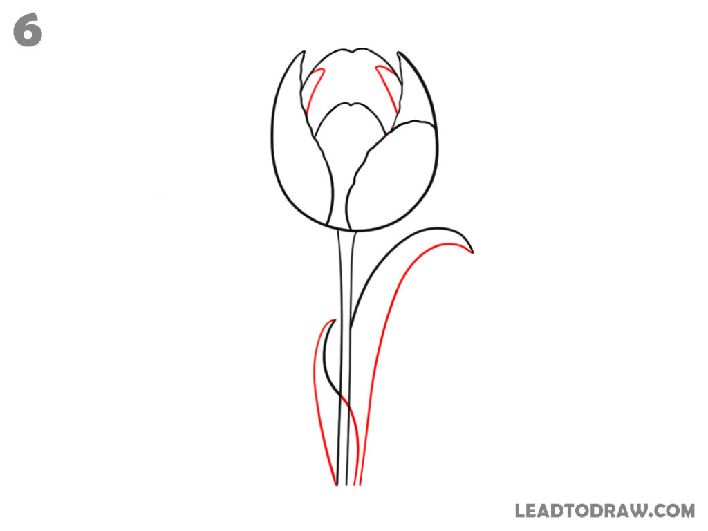 how to draw a easy tulip