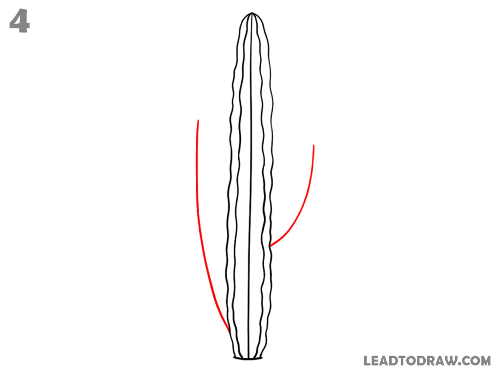 how to draw a christmas cactus