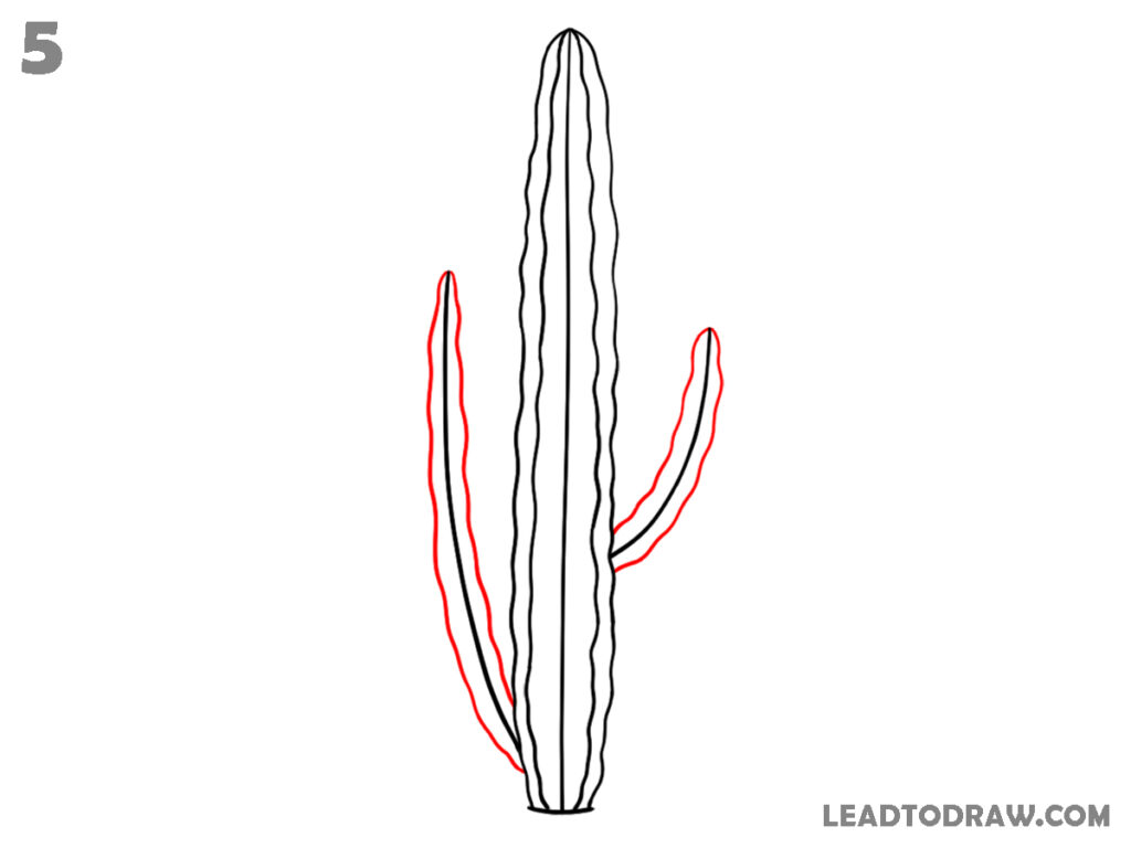 how to draw a cute cactus