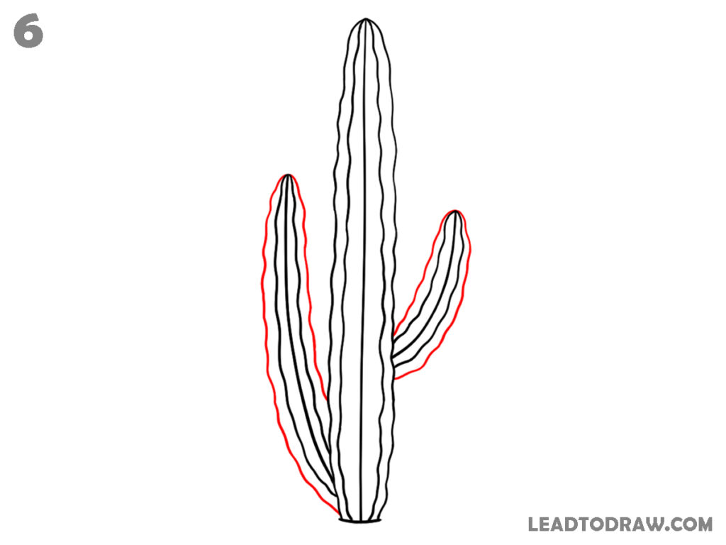 how to draw a cute cactus
