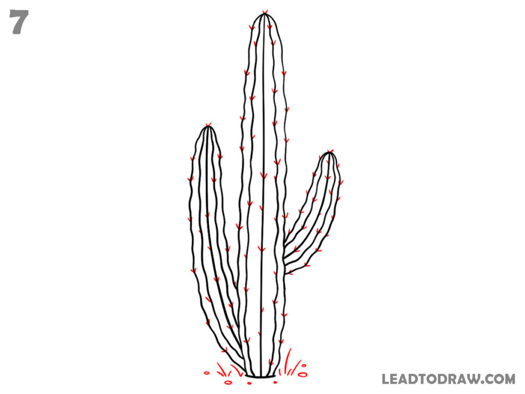 how to draw a cute cactus